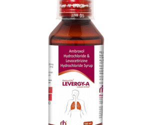 LEVERGY-A